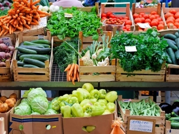 Boca Raton’s Best Farmers Markets for Plant-Based Ingredients image