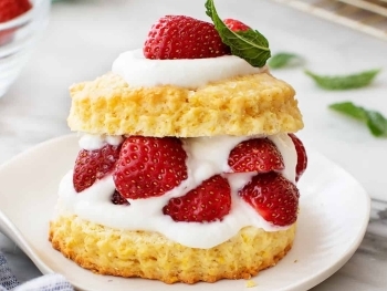 The Best Raw Vegan Cake Flavors for Summer Parties in Florida image
